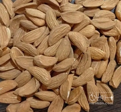فروش مغز بادام