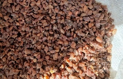 فروش کشمش پلویی