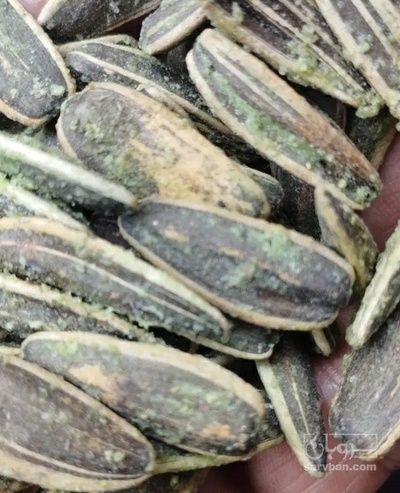 فروش تخمه آفتابگردان بود داده