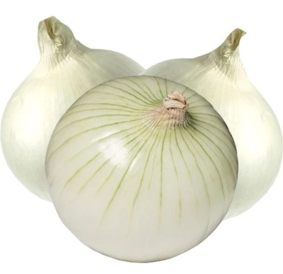 فروش پیازسفید