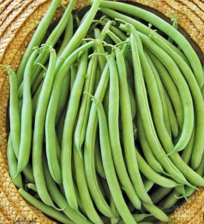 فروش لوبیا سبز