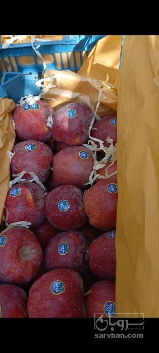فروش سیب