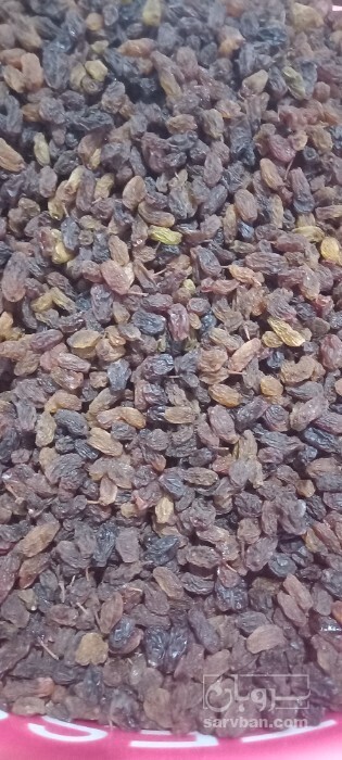 فروش کشمش