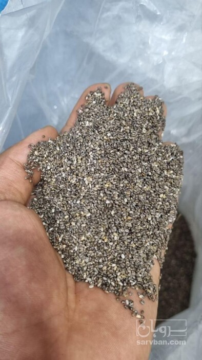 فروش دانه چیا هندی