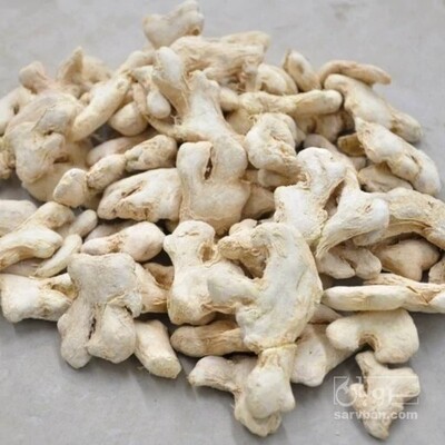 فروش زنجبیل (گیاه‌ دارویی)
