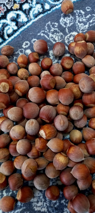 فروش فندق