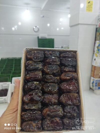 فروش خرماکبکاب تلسکوپی و پرسی