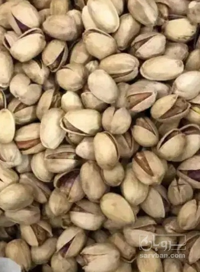 فروش پسته احمد اقایی