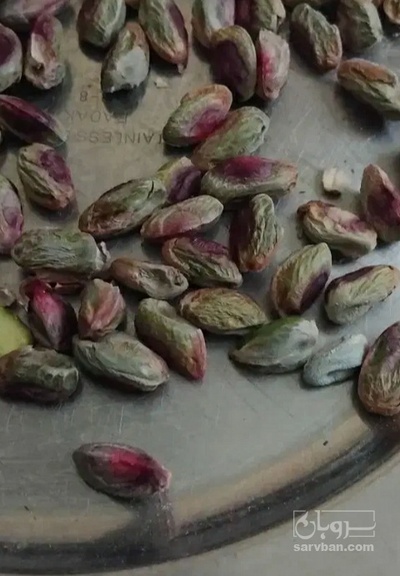فروش مغز پسته سالم