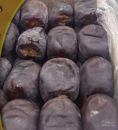 فروش خرما