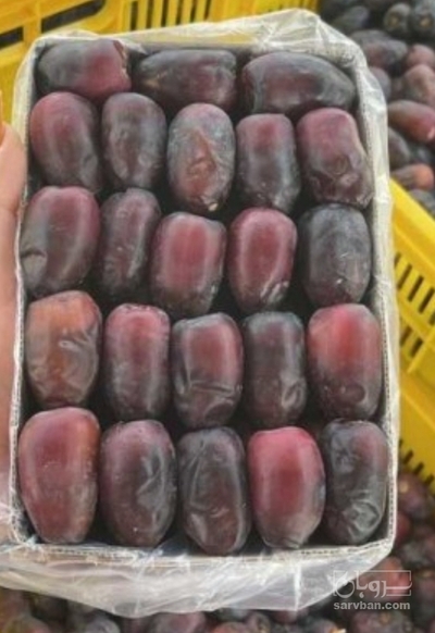 فروش خرما