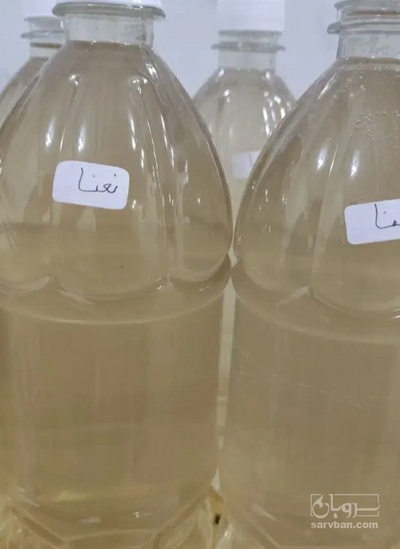 فروش عرق نعناع