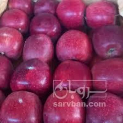 فروش سیب قرمز