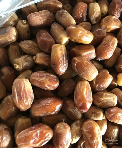 فروش خرما