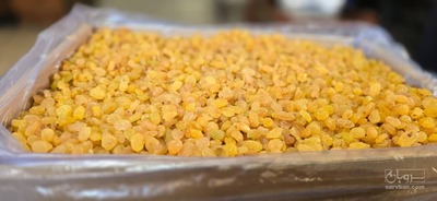 فروش کشمش