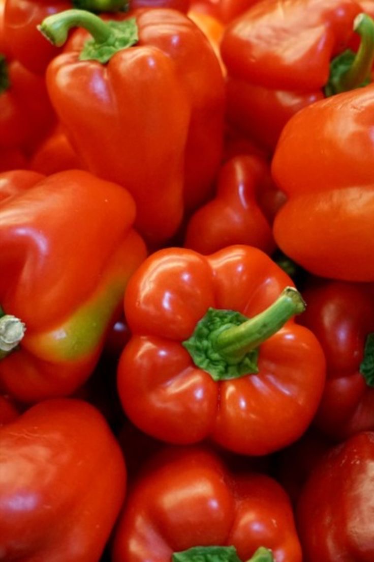 فروش فلفل دلمه ای قرمز