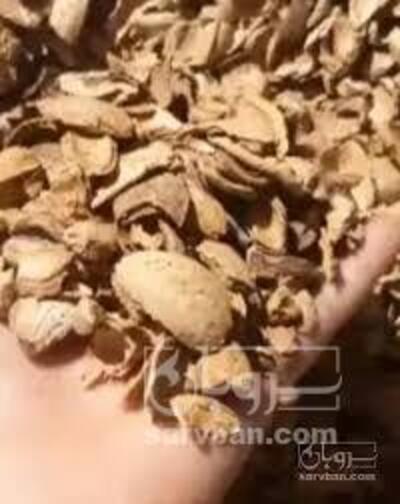 فروش پوست بادام - سنگی - سخت (گیاه‌ دارویی)