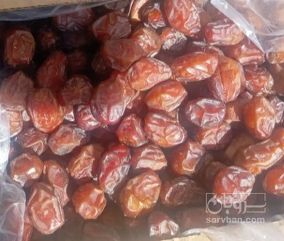 فروش خرما ربی