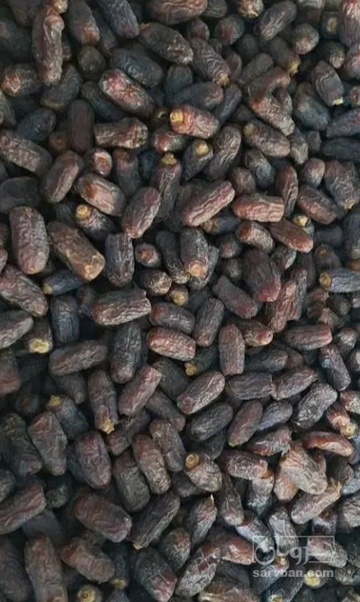 فروش خرما  خاصویی
