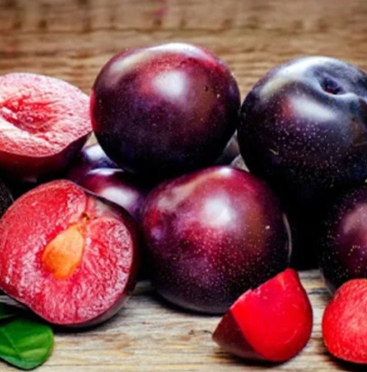 فروش آلو قرمز
