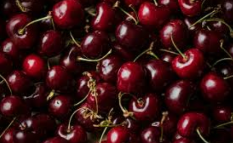 فروش گیلاس