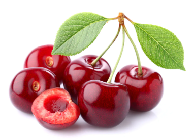 فروش گیلاس
