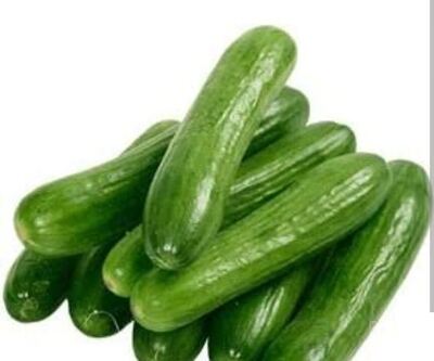 فروش خیار