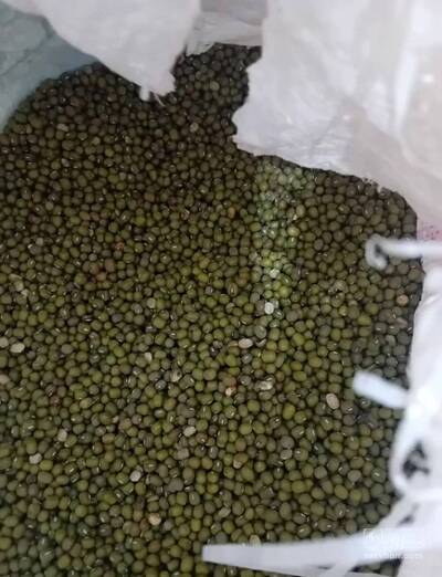 فروش ماش