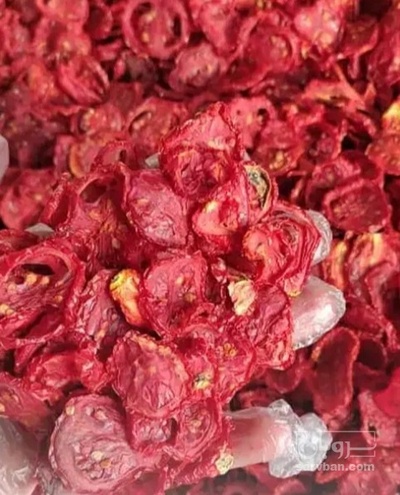 فروش گوجه خشک