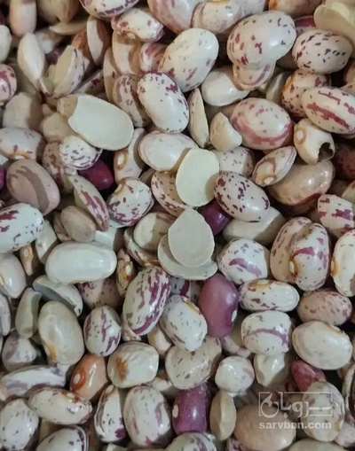 فروش لوبیا چیتی
