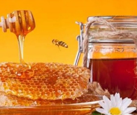 فروش عسل تغذیه