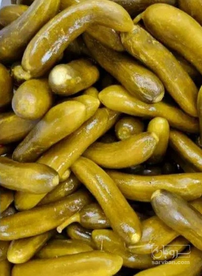 فروش خیار شور نول