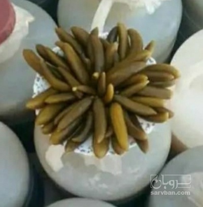فروش خیار شور سوپر ویژه