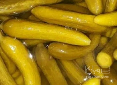 فروش خیار شور نول