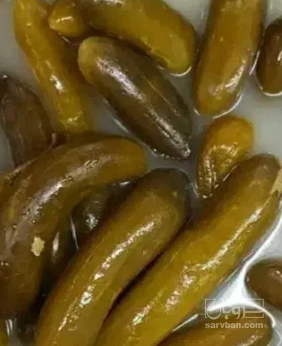 فروش خیار شور ویژه