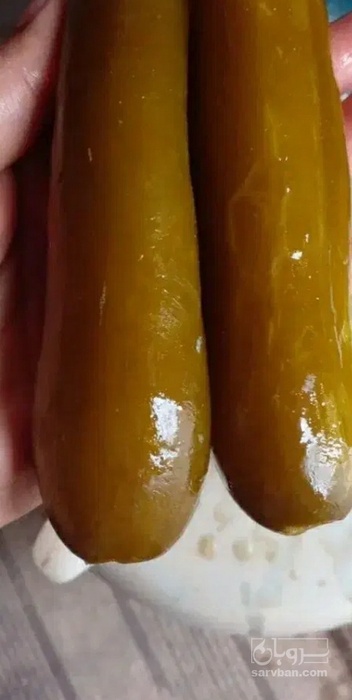 فروش خیار شور ممتاز