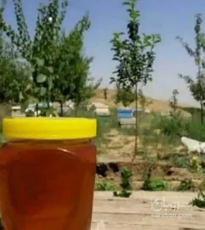 فروش عسل کنار