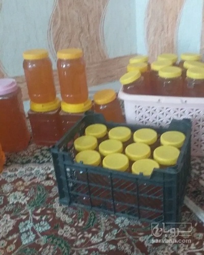 فروش عسل گشنیز