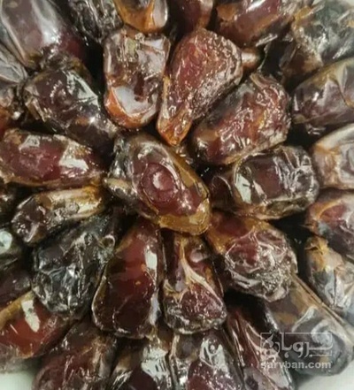 فروش خرما کبکاب