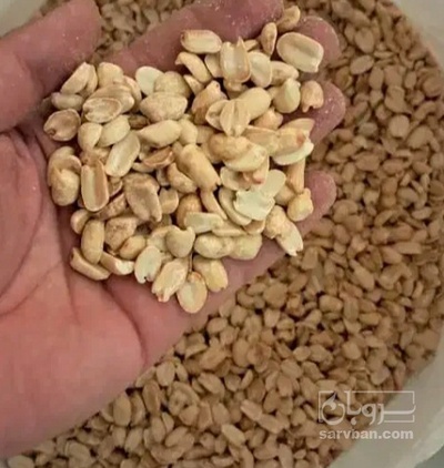 فروش مغز بادام زمینی