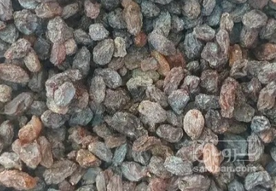 فروش کشمش