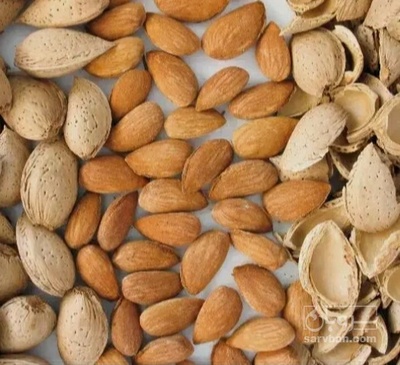 فروش بادام