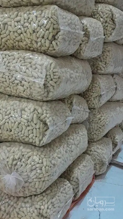فروش بادام زمینی