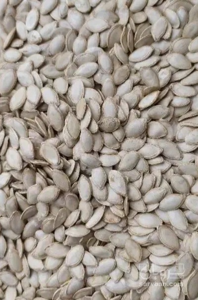 فروش تخمه  کدو بو داده