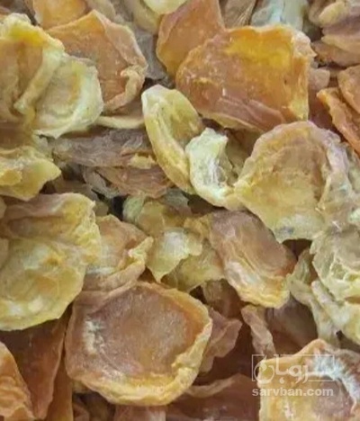 فروش برگه زردآلو