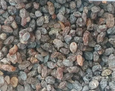 فروش کشمش