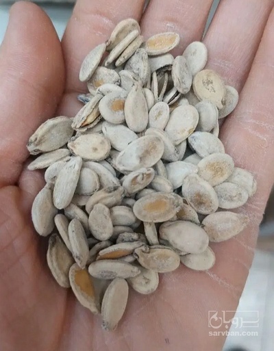 فروش کلاله