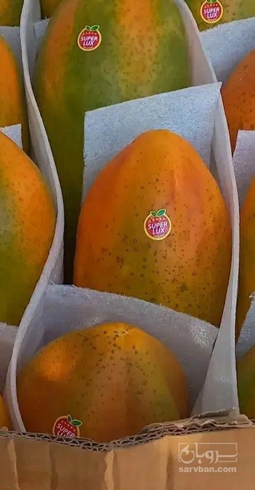فروش پاپایا