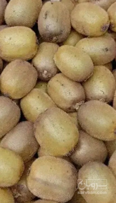 فروش کیوی