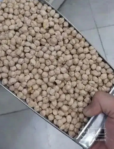 فروش عدس